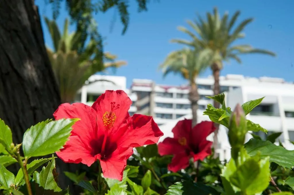 Optimist Las Americas Playa de las Americas